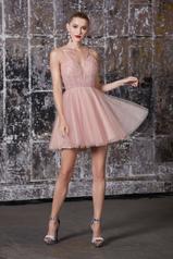 CD0148 Blush front