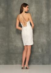 10678 Ivory back