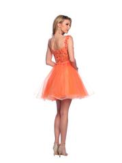 12038 Orange back