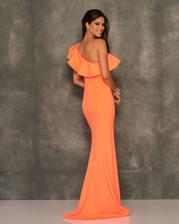 8568 Tangerine back