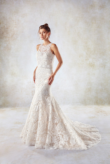 Wedding dresses under $1000 😱😍 #affordablewedding #weddingdresses #e... |  affordable wedding dresses | TikTok