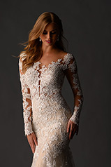 1119 Ivory Lace And Tulle Over Honey Gown With Java Tul detail