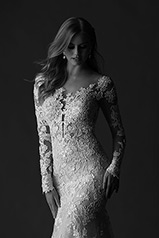 1119 Ivory Lace And Tulle Over Honey Gown With Java Tul detail