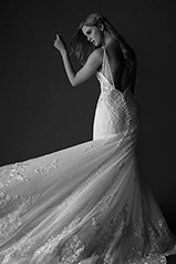 1171 Ivory Lace And Tulle Over Honey Gown With Java Tul back