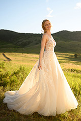 1214 Ivory Lace Ivory And Stone Tulle Over Honey Gown W detail