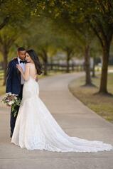 1250 Ivory Lace Ivory And Stone Tulle Over Honey Gown W back