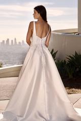 7897 Ivory back