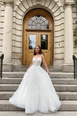 7398 Tulle And Regency Organza Over Ivory Gown front