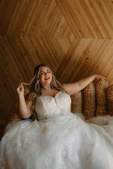 7398 Tulle And Regency Organza Over Ivory Gown detail