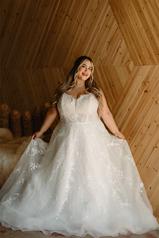 7398 Tulle And Regency Organza Over Ivory Gown front