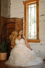 7404 (iviv-iv) Ivory Lace Over Ivory Gown With Ivory Tu detail