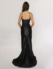 1585 Black back