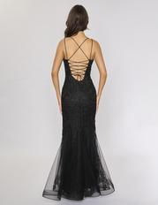 1588 Black back