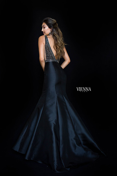 Vienna Prom 8295