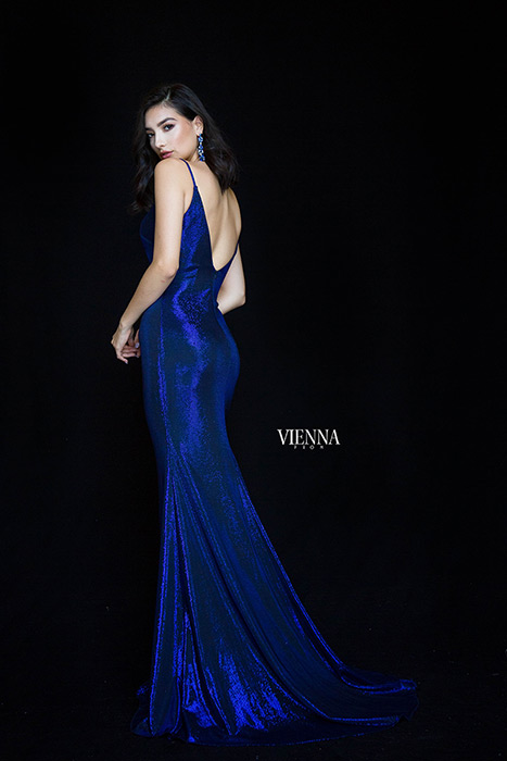 Vienna Prom 8454