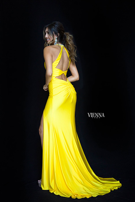 Vienna Prom 8461