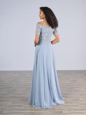 17189 Misty Blue back