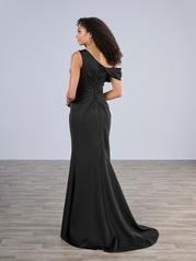 17204 Black back