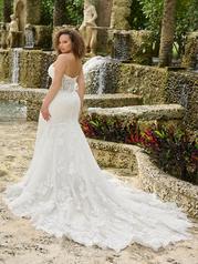 29476 Ivory back