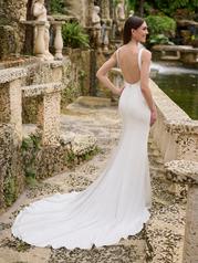 34006 Ivory back