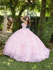 56528 Pink back