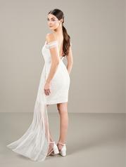 40449 Ivory back