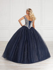 56419 All Fiesta Tulle Colors back