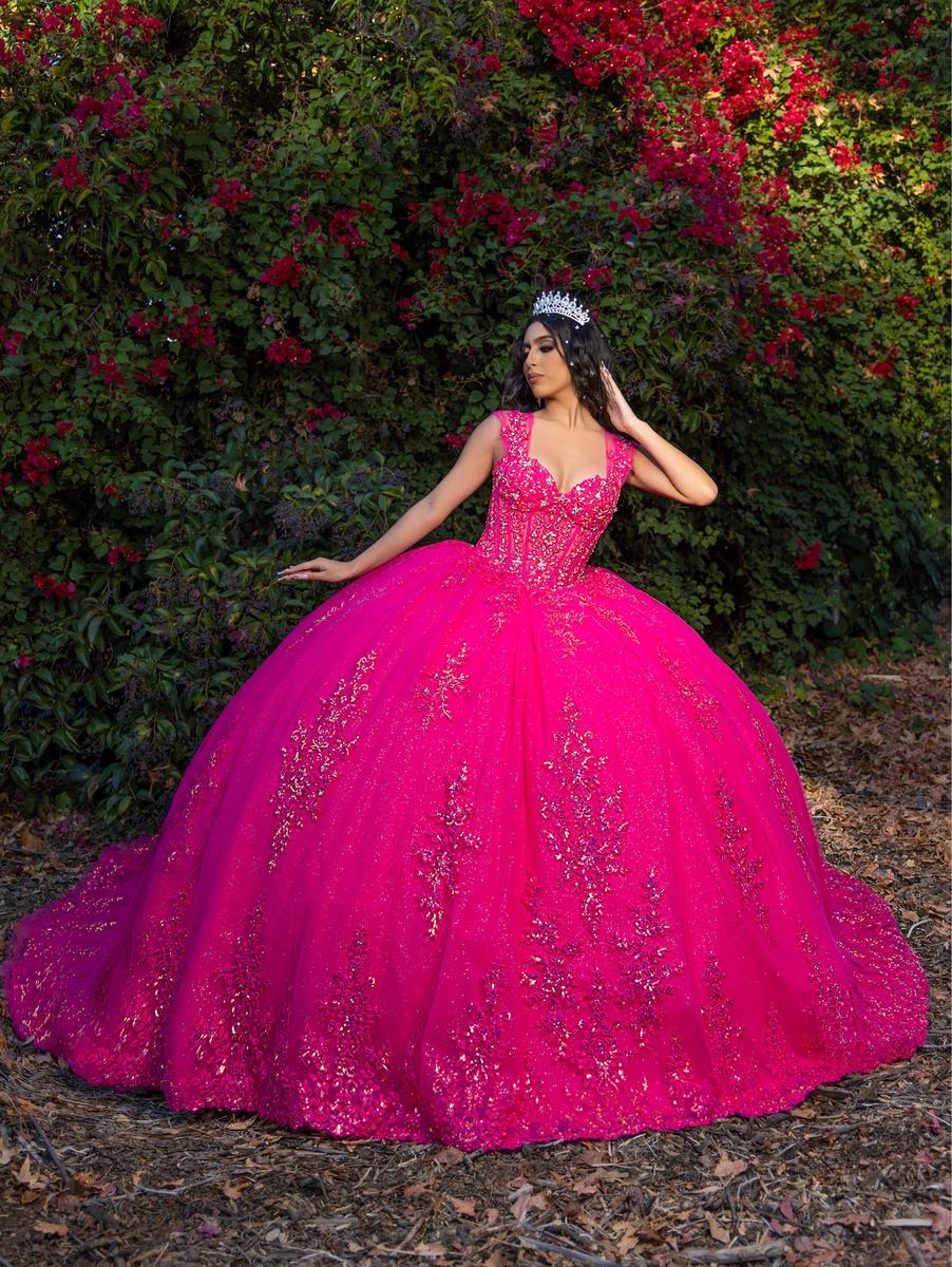 Quinceanera Collection 26091