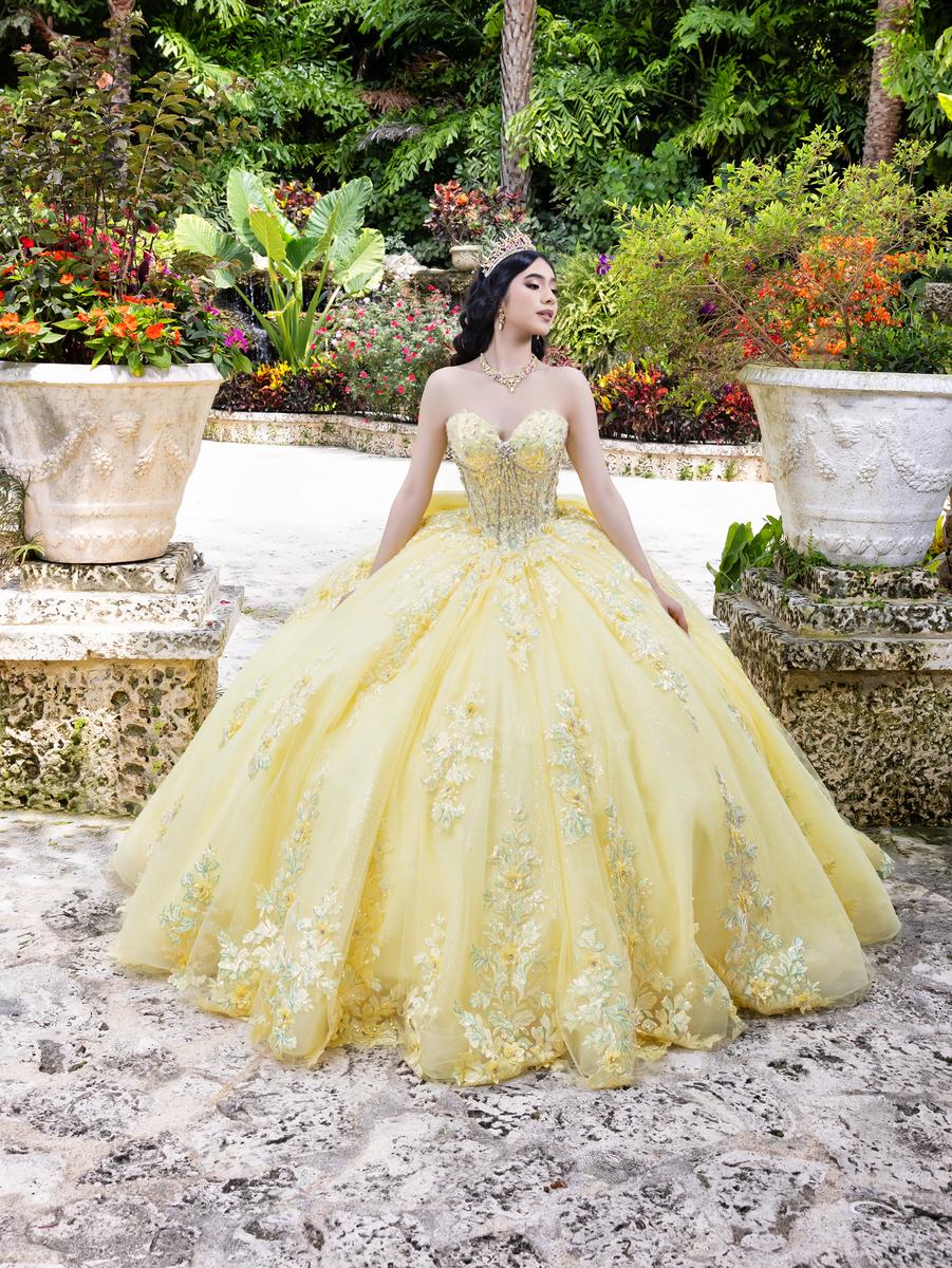 Quinceanera Collection 26100