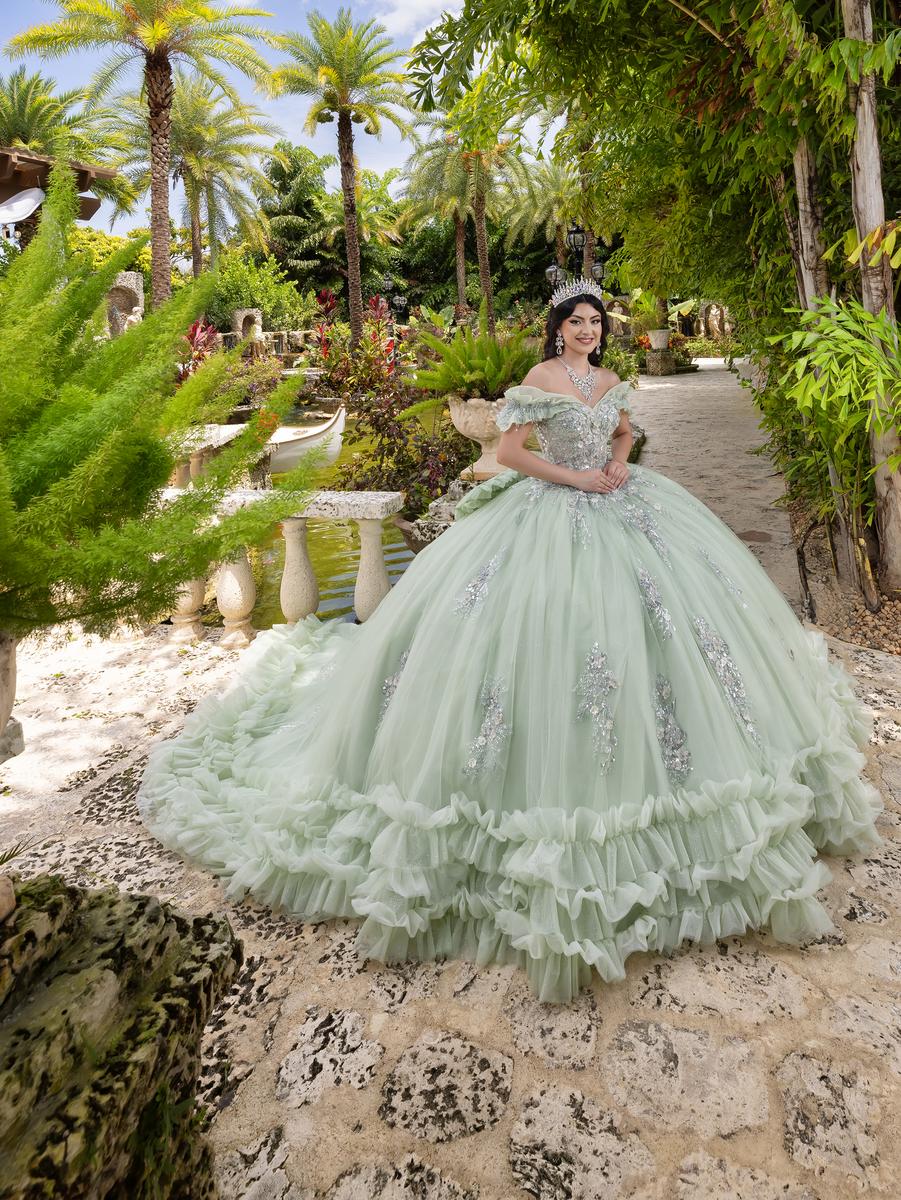 Quinceanera Collection 26108