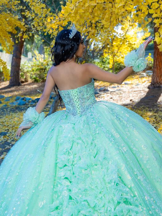 Lizluo Quinceanera 26094