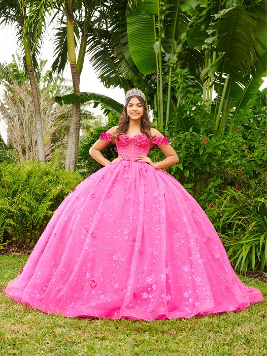 Lizluo Fiesta Quinceanera 56512