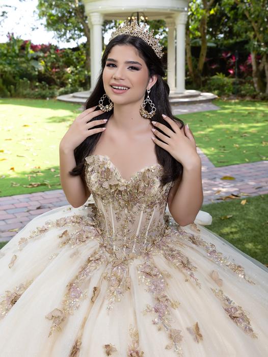 Lizluo Fiesta Quinceanera 56525