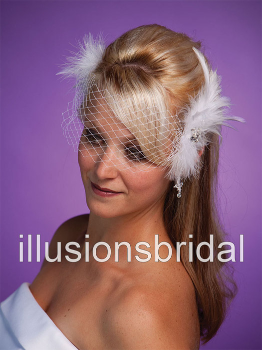 Illusions Cage Veils 

7025v