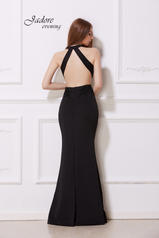 J12063 Black back