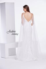 J14032 Ivory back