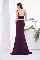 J14046 Plum back