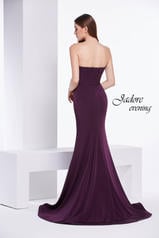 J14047 Plum back