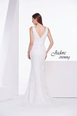 J14049 Ivory back