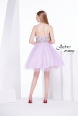 J14076 Light Purple back