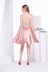 J14087 Dusty Pink back