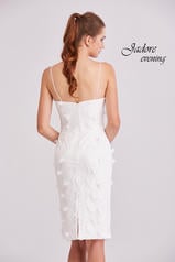 J15052 Ivory back