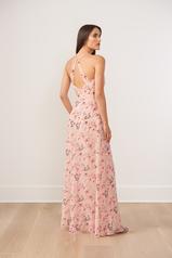 B263009 Peach back