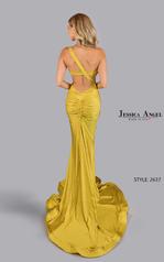 2637 Yellow back