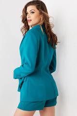 25840 Teal back