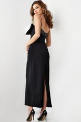 25745 Black back