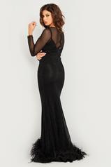 26047 Black back