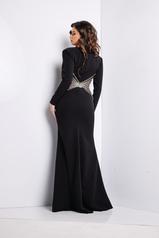 26317 Black back