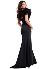 37196 Black back