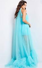 38720 Turquoise back